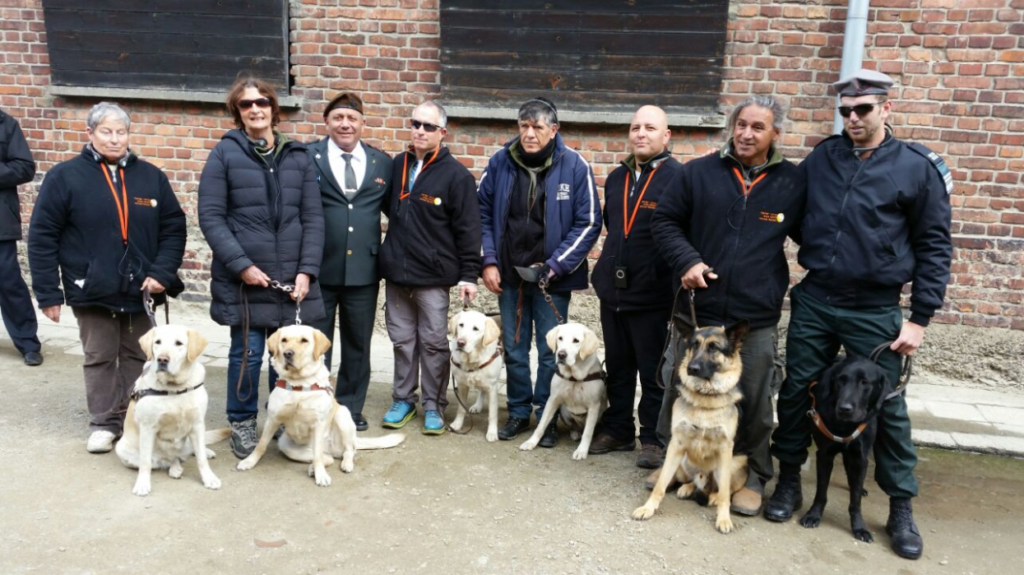 A group of people stand outside a brick building with six dogs on leashes, including Labradors and a German Shepherd; most wear dark jackets and some have uniforms and ID badges.
