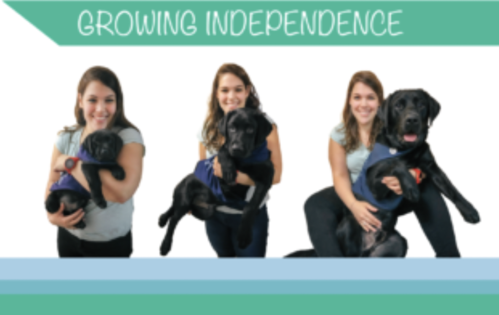 A smiling woman poses with a black labrador in three stages, showing the dogs growth. The text above reads GROWING INDEPENDENCE..