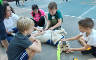 Kids playing with dogs