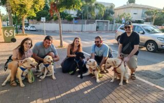 Puppy Raisers and dogs