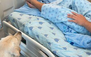 Dogs visiting patients