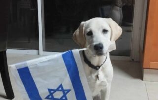 Israel in our hearts