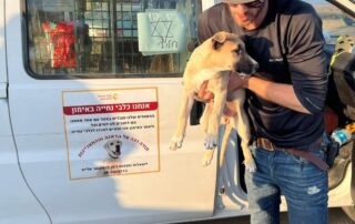 Rescuing Dogs in Israel's South