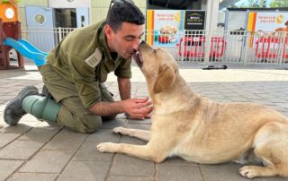 solider visiting his foster dog