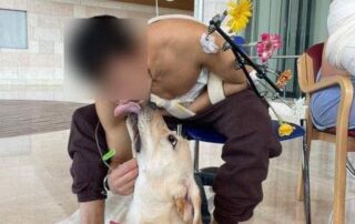 Dogs at the hospital