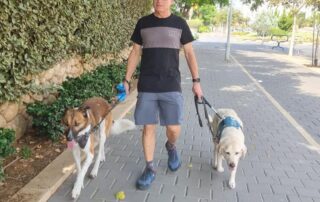 Dror walking dogs