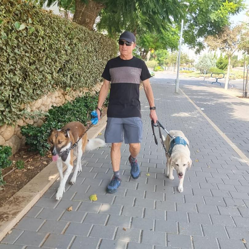 Dror walking dogs