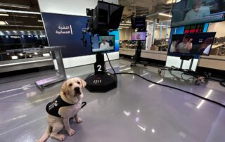 Dog at news station