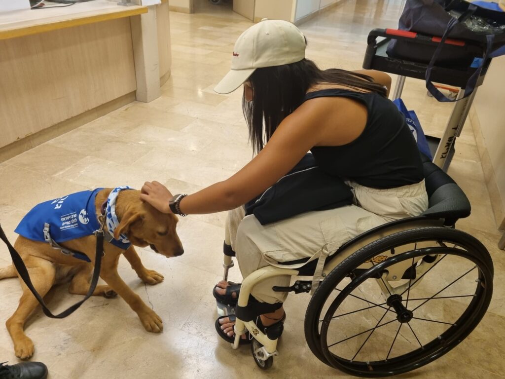 A woman in a wheelchair pets a brown dog wearing a blue service vest indoors. The dog sits calmly, and the woman is wearing a white cap, black top, and white pants.