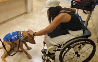 Puppy love encounters