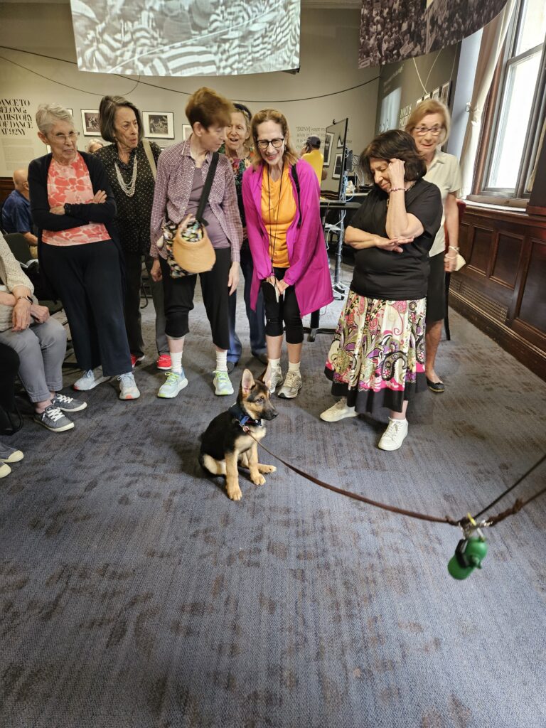 A group of women smiles and looks at a German Shepherd puppy sitting on a blue carpet indoors. The puppy is on a leash, and the room has large windows and display boards.