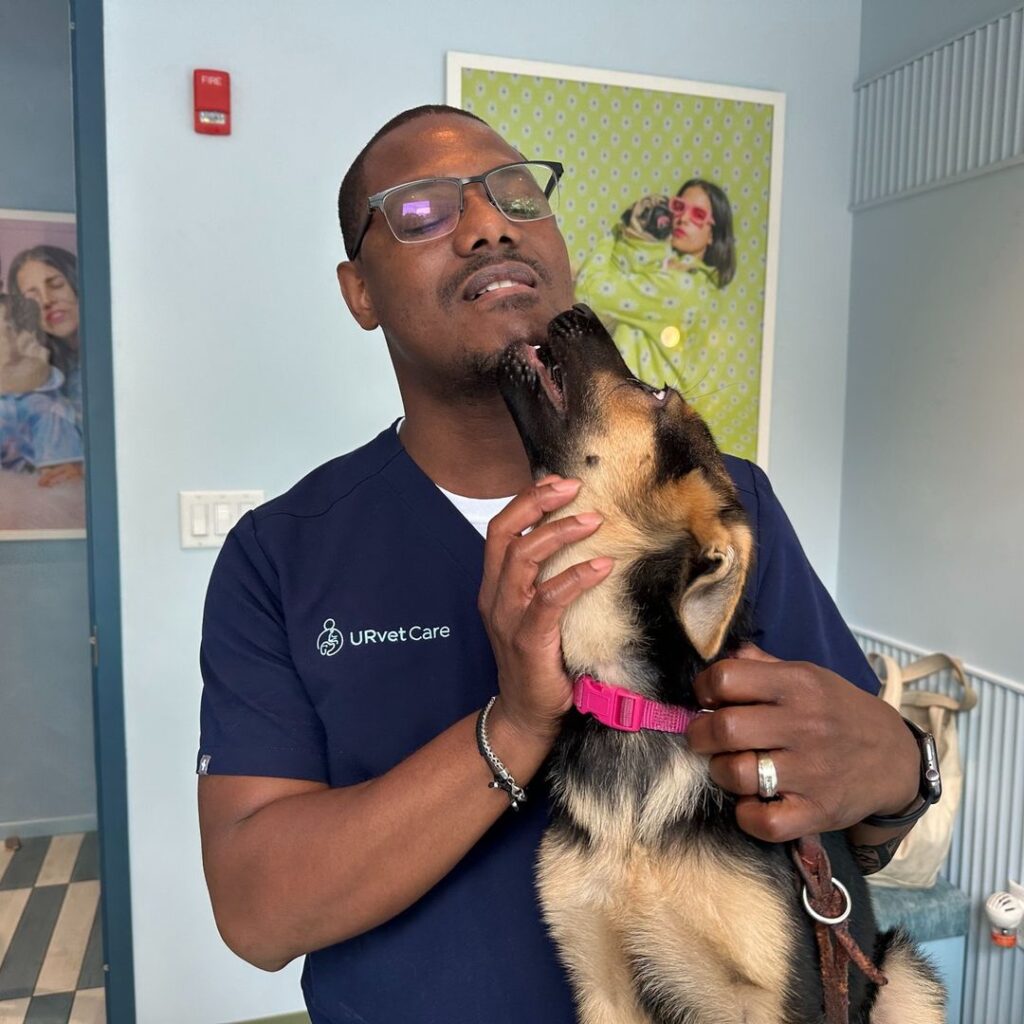 A man in navy scrubs labeled URvetCare smiles as a German Shepherd dog with a pink collar playfully nuzzles his chin inside a brightly lit room with colorful decor and posters.