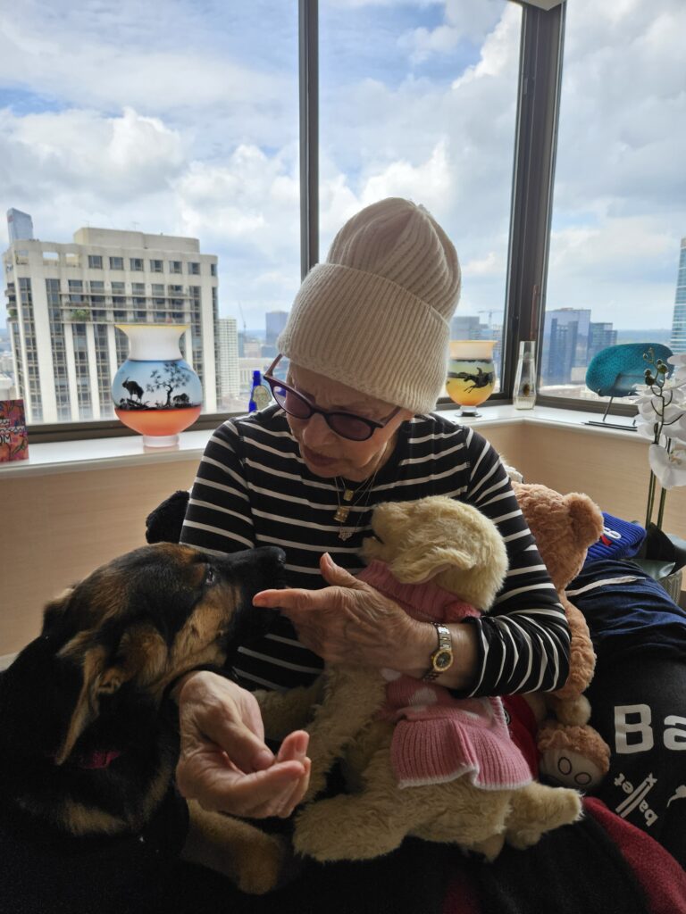 An elderly woman wearing glasses and a knit hat sits by a window, petting a dog and holding a stuffed animal. City buildings and a cloudy sky are visible outside.