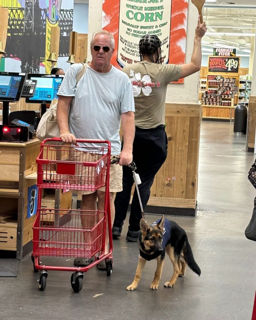 A man with sunglasses pushes a red shopping cart by a checkout lane, accompanied by a German Shepherd service dog on a leash. A store employee gestures in the background. Grocery signs are visible.