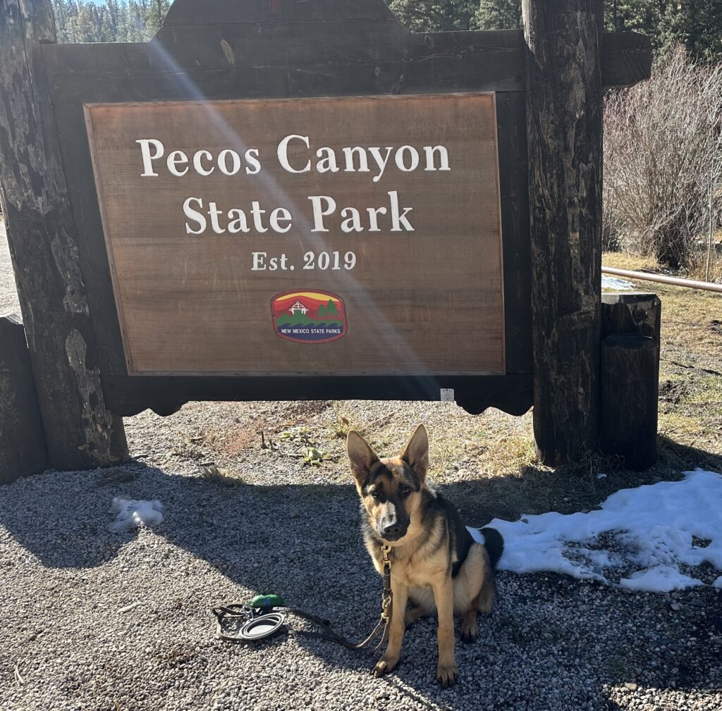 A German Shepherd puppy sits on gravel in front of a large wooden Pecos Canyon State Park Est. 2019 sign, with a leash and some snow visible nearby.