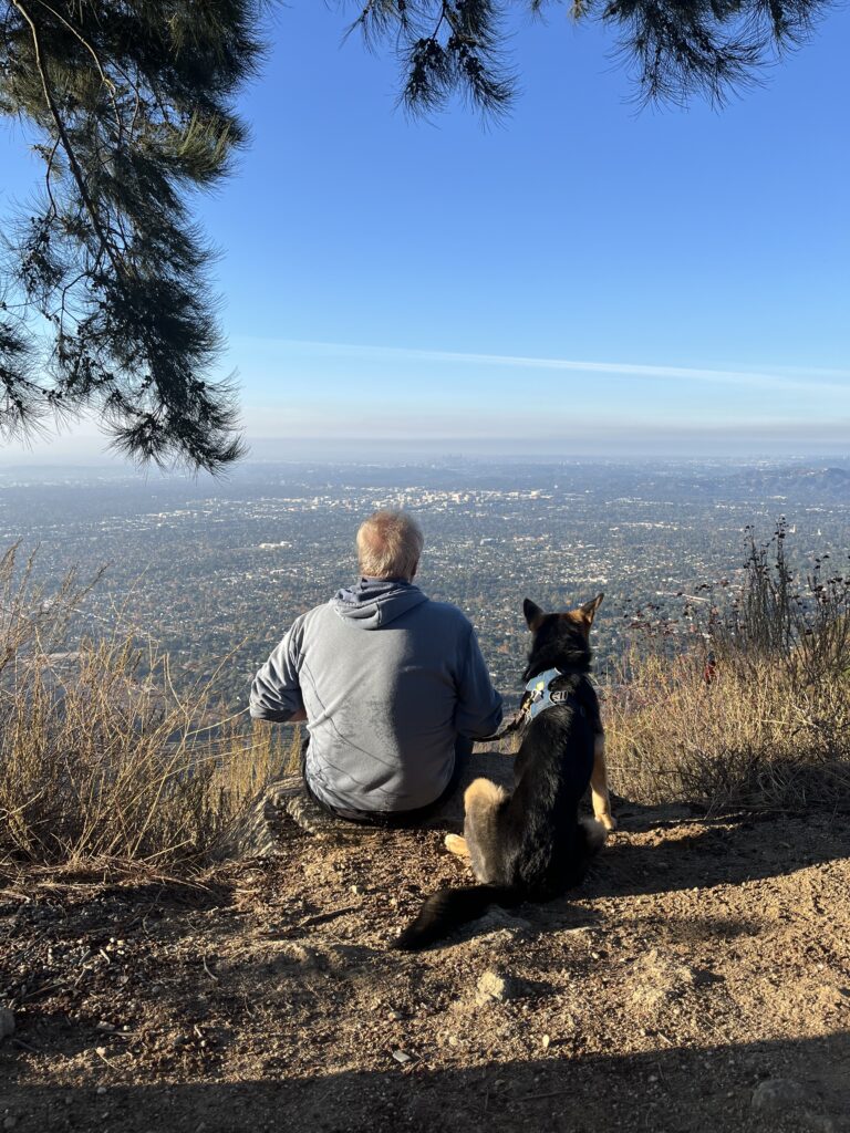 A man in a hoodie sits on a dirt path beside a German Shepherd, both gazing out over a cityscape from a hilltop under a clear blue sky.