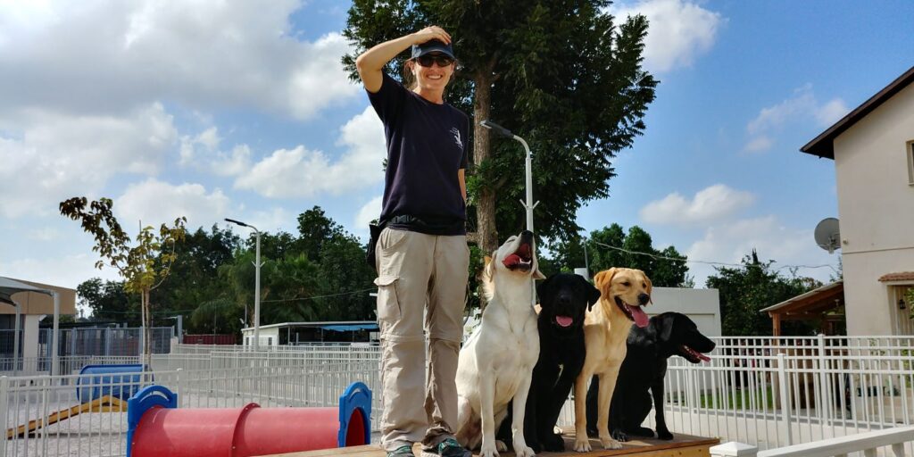 A person wearing sunglasses stands on a platform beside four dogs—two black, one yellow, and one white—at an outdoor dog park with agility equipment and fencing, on a sunny day.