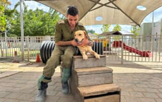 Soldier and dog