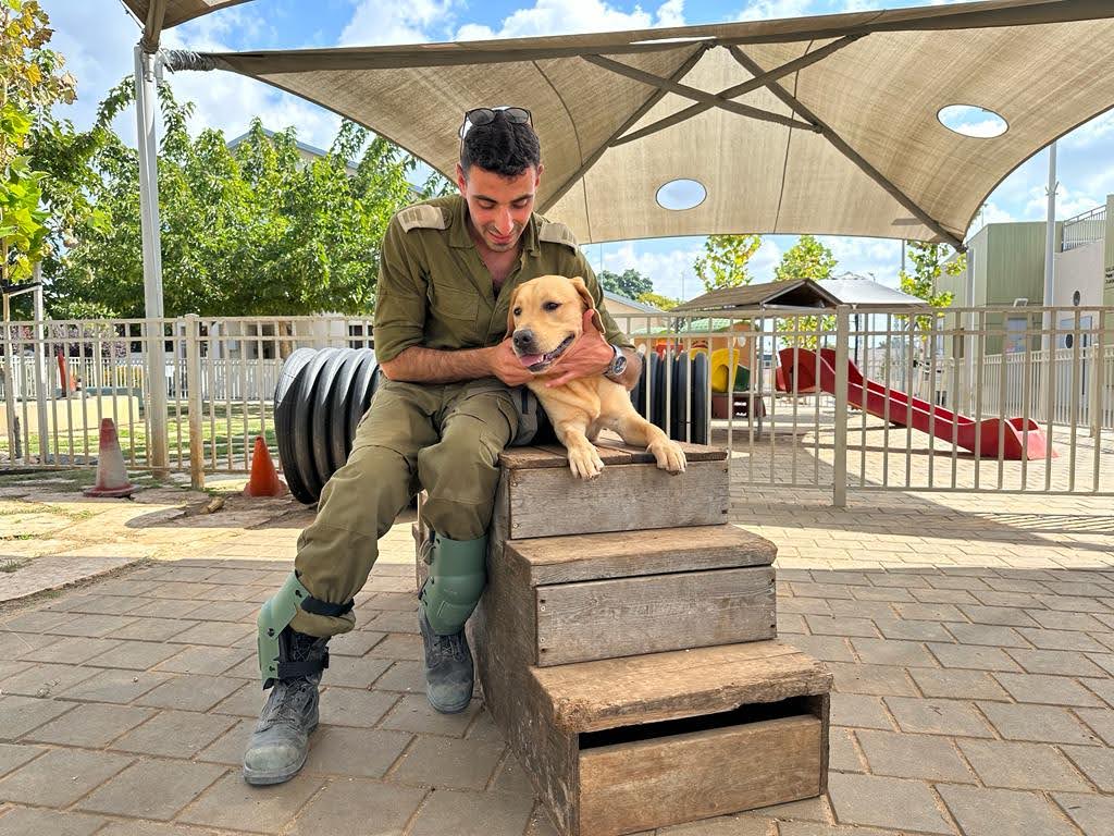 Soldier and dog