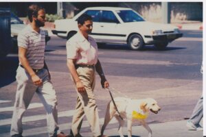 A man with a guide dog walks beside another man across a city street. Cars and a sidewalk are visible in the background.