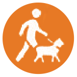 White icon of a person walking a dog on a leash, set against an orange circular background.