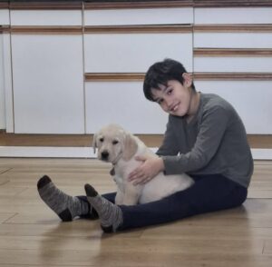 A young child sits on a wooden floor, smiling, with a yellow Labrador puppy resting on their lap. White cabinets are in the background.