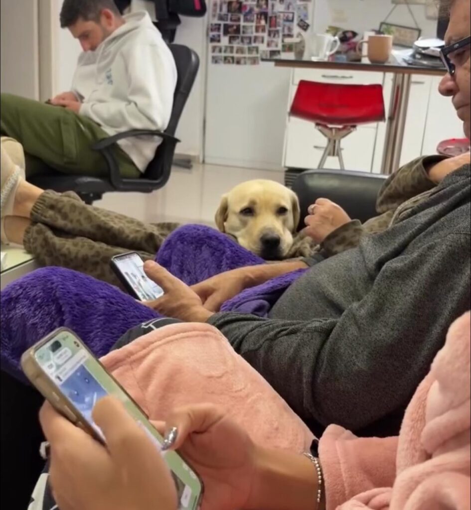A dog sits on a couch between two people using their phones, with another person seated in the background. The scene is cozy, featuring blankets and casual home decor.