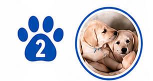 A blue paw print with the number 2 next to a circle containing two yellow Labrador Retriever puppies cuddling together.