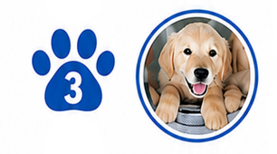 A blue paw print with the number 3 next to a photo of a happy golden retriever puppy inside a blue circle.