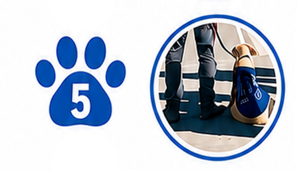 A blue paw print with the number 5 next to a circle showing a dog wearing a vest standing beside a person in boots on a striped floor.