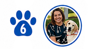 A blue paw print with the number 6 next to a circular photo of a smiling woman and a yellow Labrador wearing a red leash.