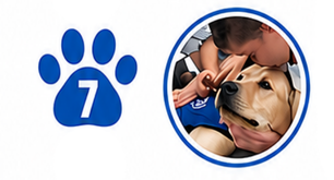 A blue paw print with the number 7 next to a circular image of a person hugging and kissing a yellow Labrador retriever wearing a blue vest.